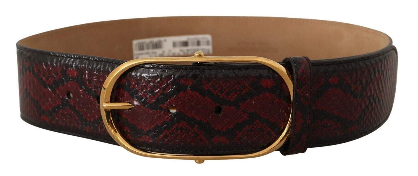 Dolce & Gabbana Elegant Red Python Leather Belt with Gold Buckle - Elegance Online Limited