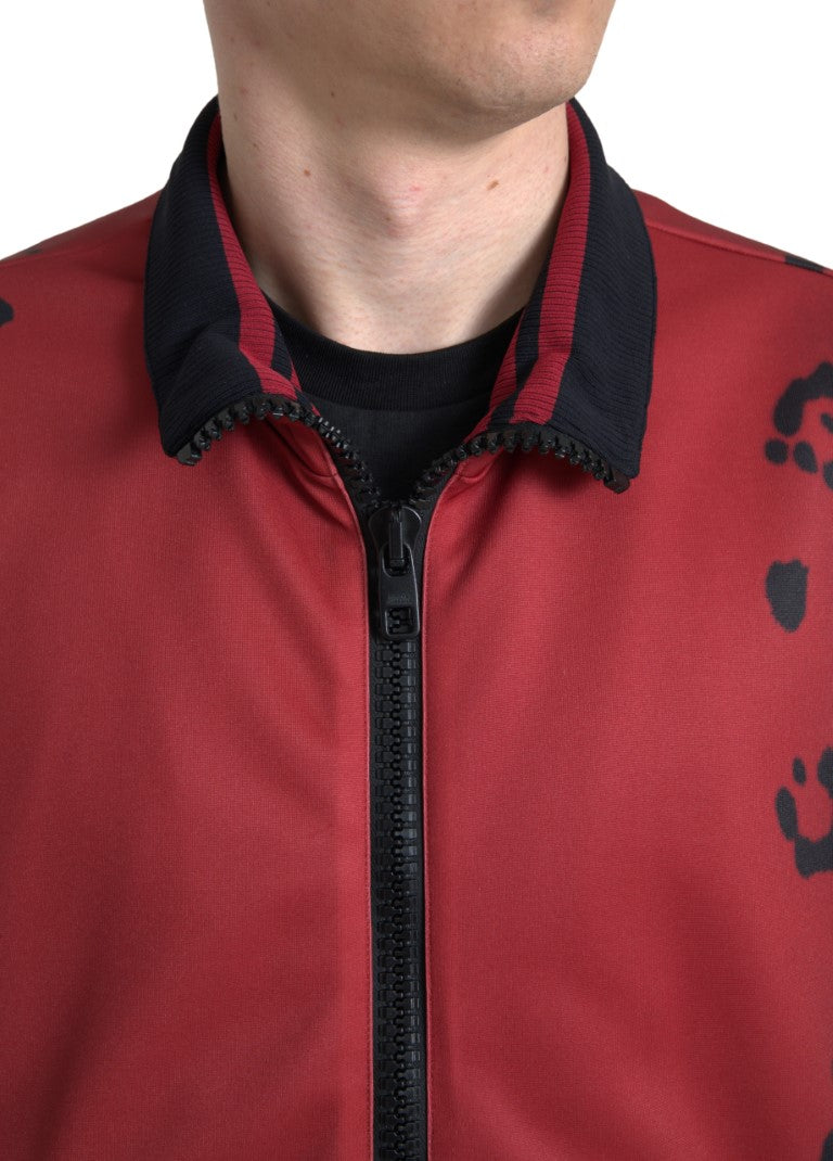 Blouson aviateur à imprimé léopard rouge Dolce & Gabbana