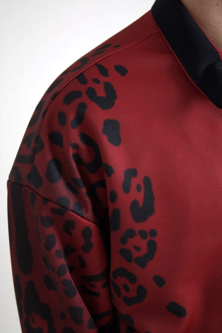 Blouson aviateur à imprimé léopard rouge Dolce & Gabbana