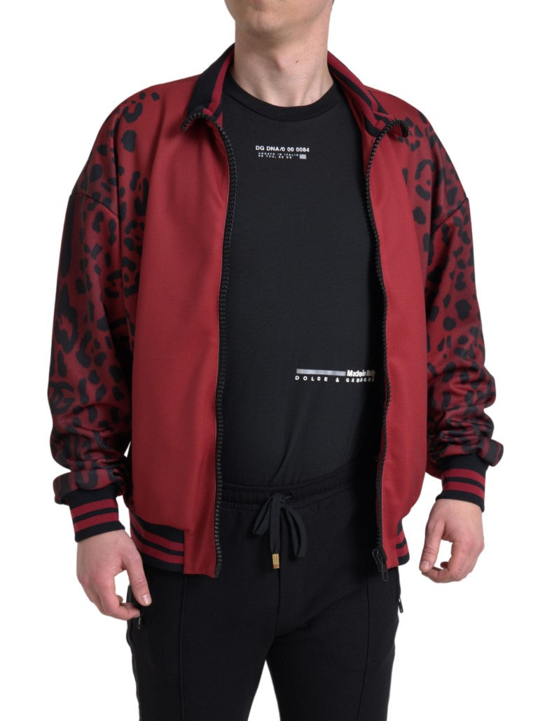 Blouson aviateur à imprimé léopard rouge Dolce & Gabbana