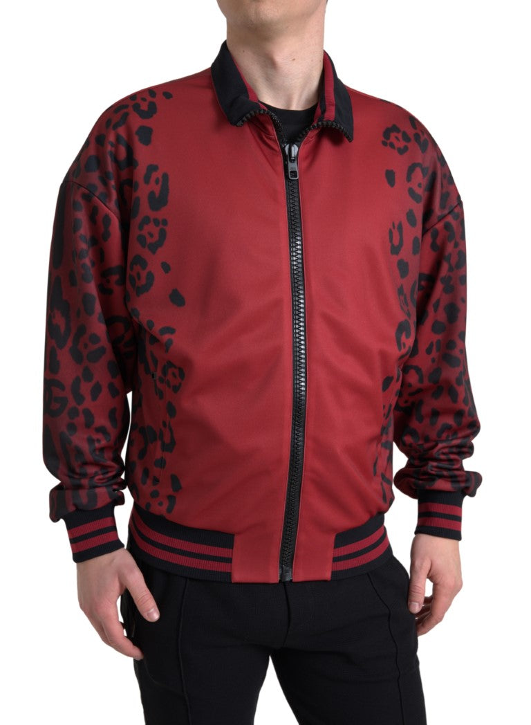 Blouson aviateur à imprimé léopard rouge Dolce & Gabbana