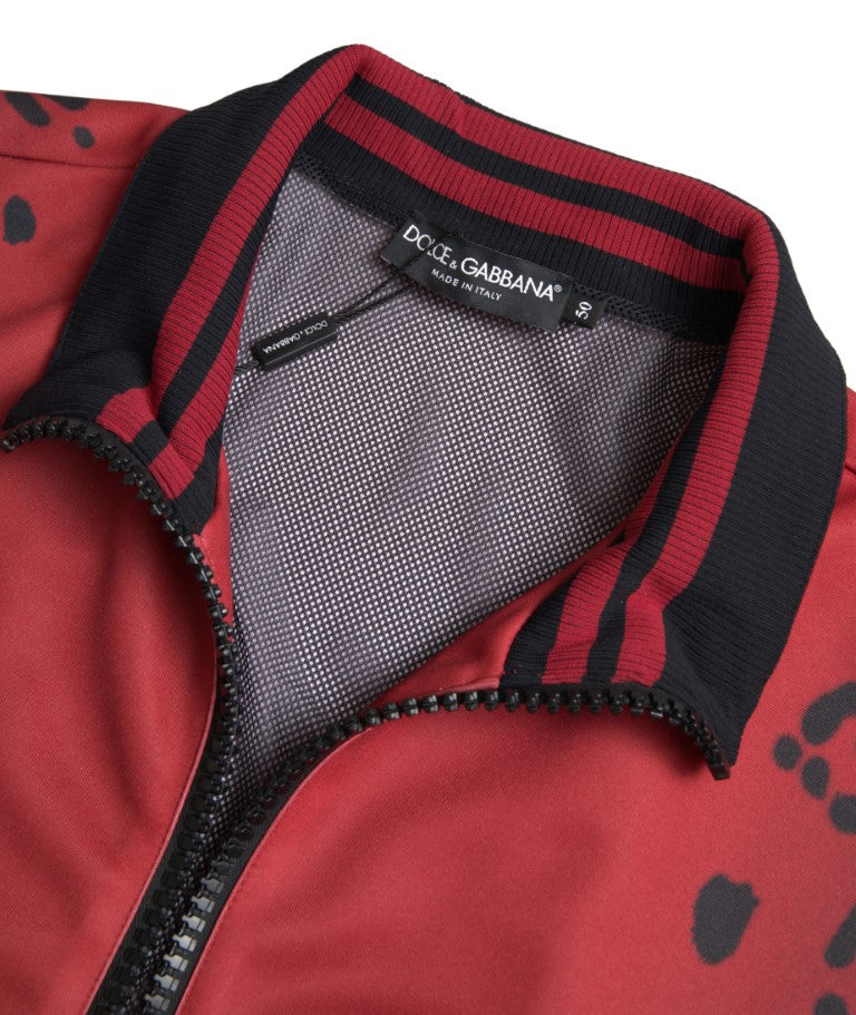 Blouson aviateur à imprimé léopard rouge Dolce & Gabbana