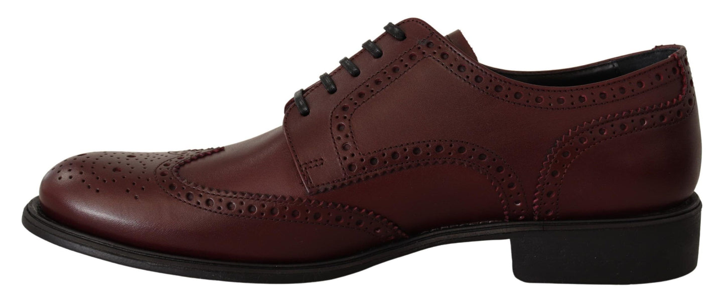 Derbies Dolce &amp; Gabbana en cuir bordeaux