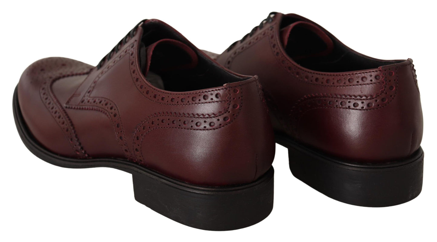 Derbies Dolce &amp; Gabbana en cuir bordeaux