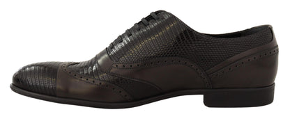 Chaussures richelieu en cuir lézard marron Dolce &amp; gabbana