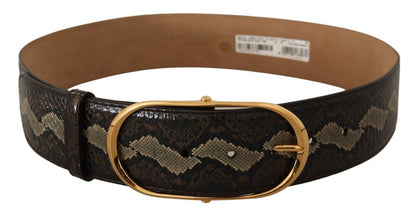 Ceinture en peau de serpent Dolce &amp; gabbana avec boucle ovale dorée