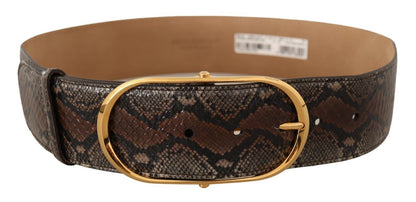 Ceinture en cuir marron Dolce &amp; gabbana avec boucle dorée