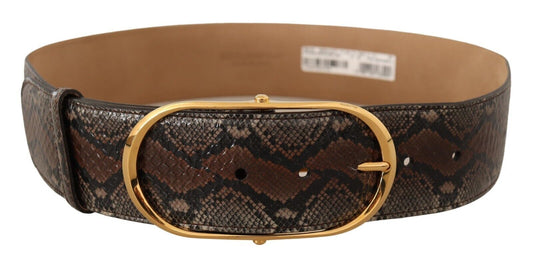 Ceinture en cuir marron Dolce &amp; gabbana avec boucle dorée