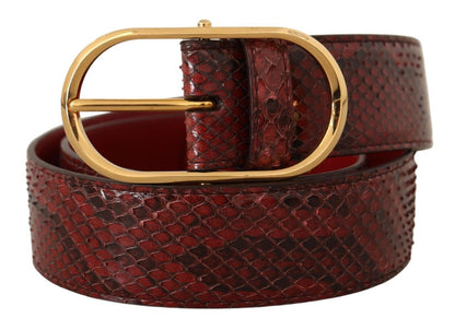 Ceinture en cuir de serpent rouge Dolce &amp; Gabbana