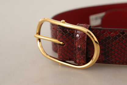 Ceinture en cuir de serpent rouge Dolce &amp; Gabbana