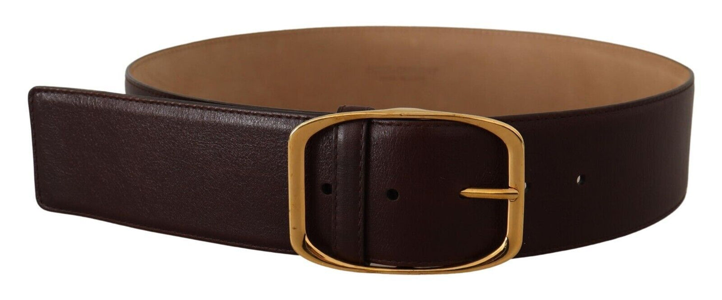 Ceinture en cuir marron foncé Dolce &amp; gabbana avec boucle dorée