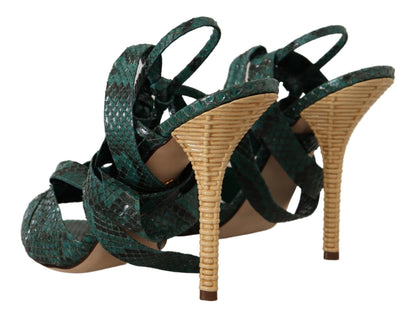 Talons à lanières en python vert Dolce &amp; gabbana