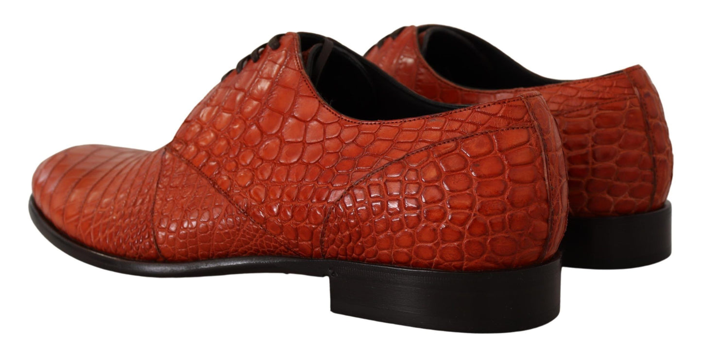 Dolce &amp; Gabbana chaussures habillées à lacets en cuir croco orange exotique