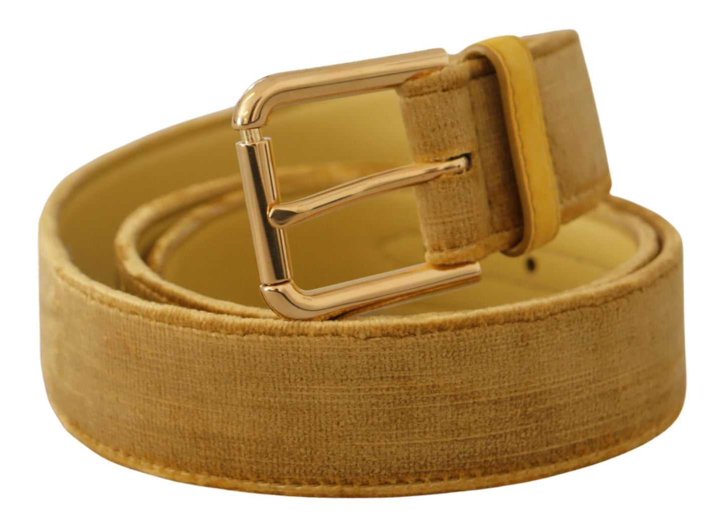 Ceinture de créateur en velours Dolce &amp; Gabbana à boucle dorée