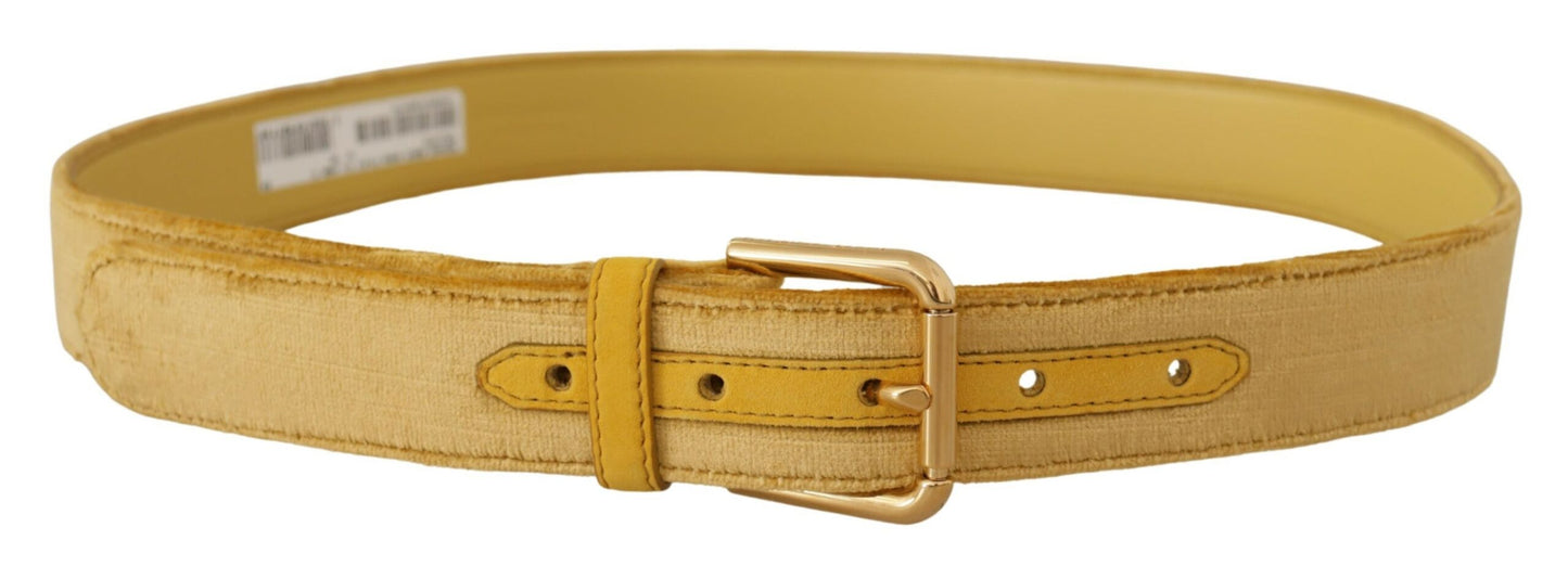 Ceinture de créateur en velours Dolce &amp; Gabbana à boucle dorée