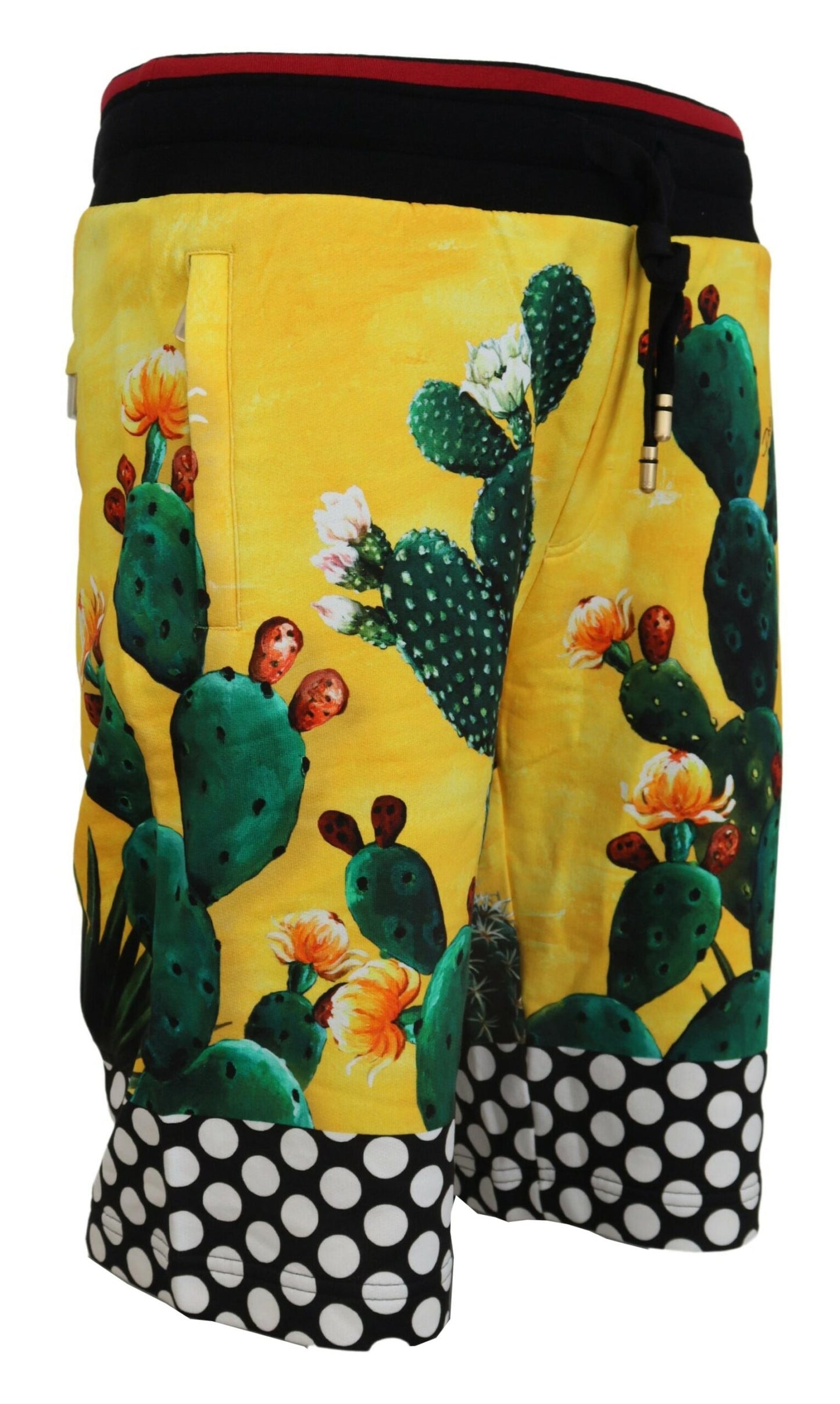 Dolce &amp; gabbana short de survêtement multicolore à imprimé cactus