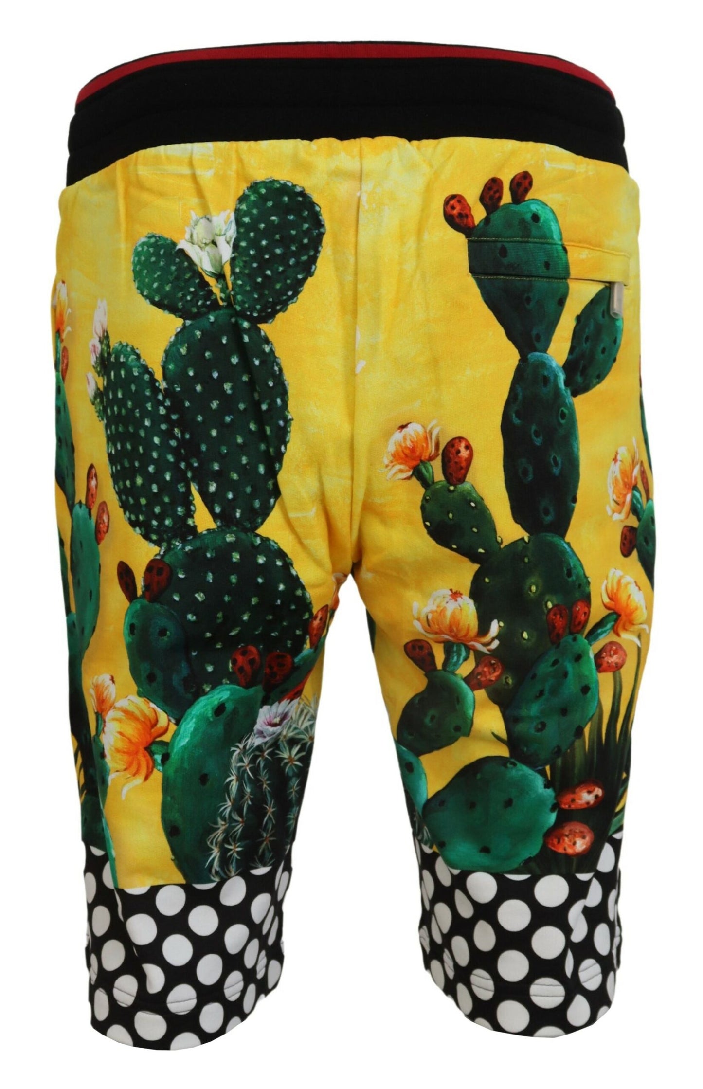 Dolce &amp; gabbana short de survêtement multicolore à imprimé cactus