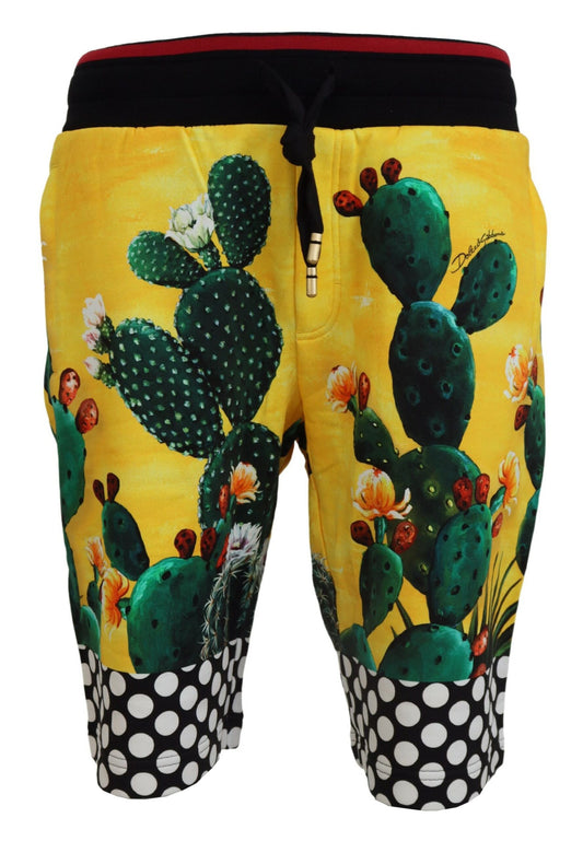 Dolce &amp; gabbana short de survêtement multicolore à imprimé cactus