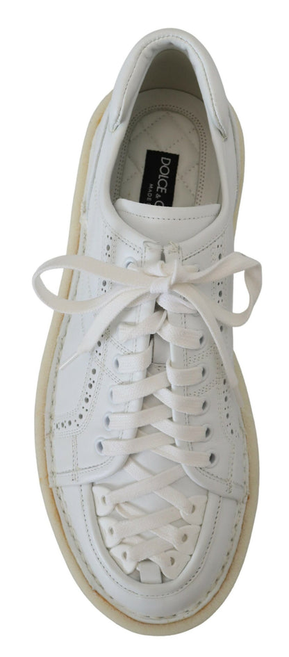 Baskets Oxford basses blanches Dolce &amp; Gabbana