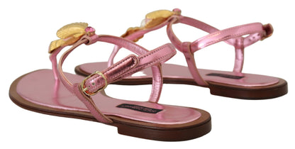 Sandales en cuir rose Dolce &amp; gabbana avec ornements exquis