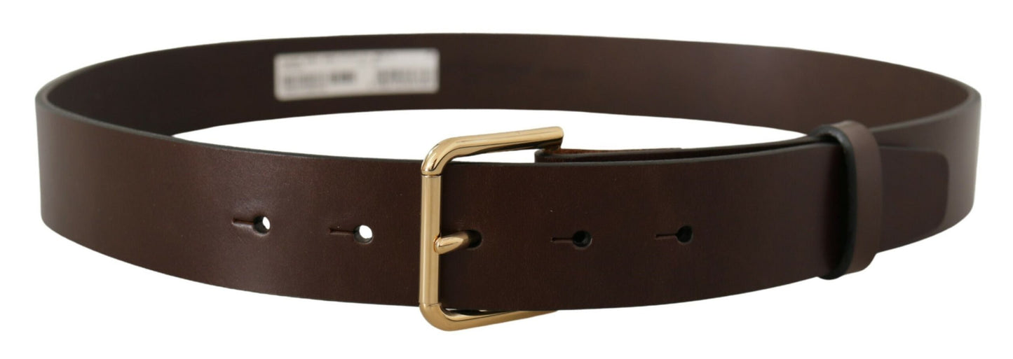 Ceinture en cuir marron foncé Dolce &amp; gabbana