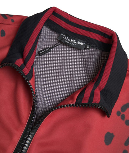 Dolce &amp; Gabbana blouson aviateur rouge à imprimé léopard