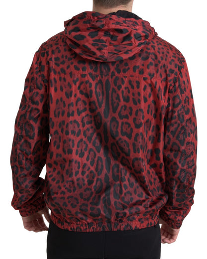 Dolce &amp; Gabbana blouson aviateur à capuche léopard rouge