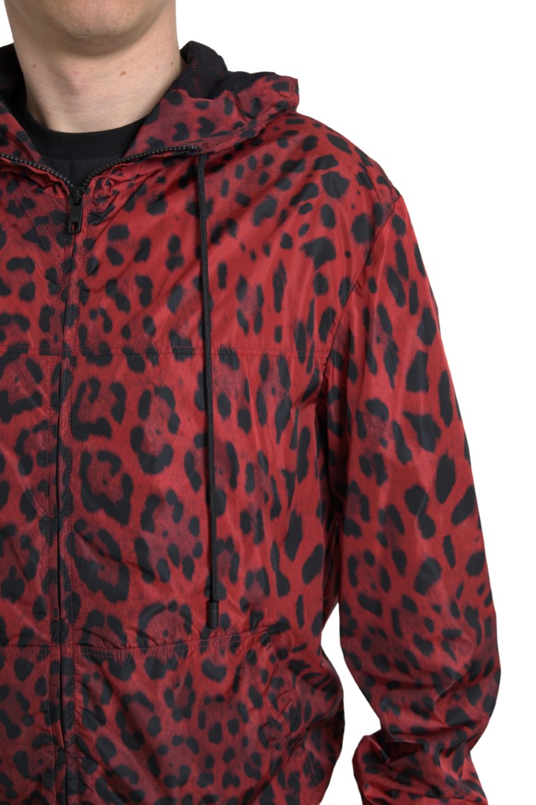 Dolce &amp; Gabbana blouson aviateur à capuche léopard rouge