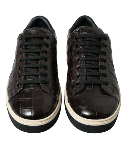 Dolce & Gabbana Elegant Exotic Leather Low-Top Sneakers