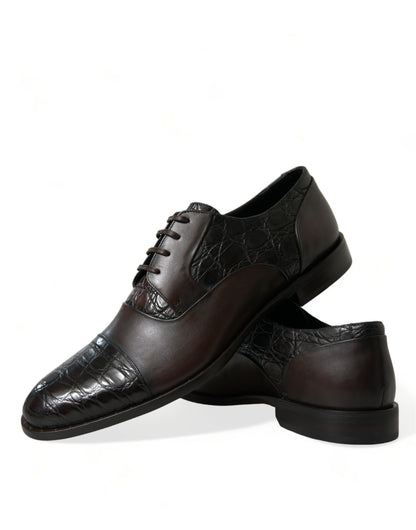 Dolce &amp; Gabbana - Chaussures habillées derby formelles marron