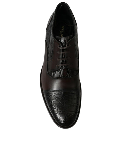 Dolce &amp; Gabbana - Chaussures habillées derby formelles marron