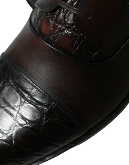 Dolce &amp; Gabbana - Chaussures habillées derby formelles marron