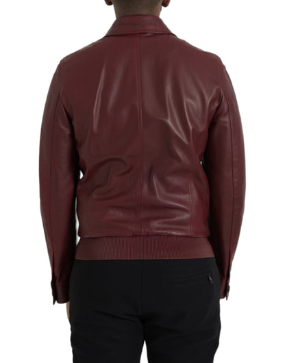 Dolce &amp; Gabbana Veste de motard zippée en cuir exotique marron