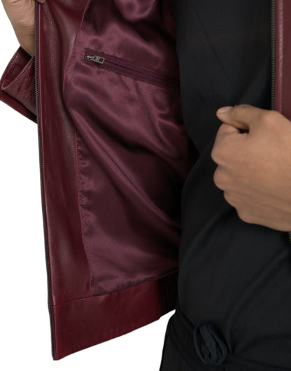 Dolce &amp; Gabbana Veste de motard zippée en cuir exotique marron