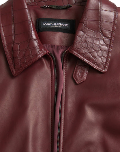 Dolce &amp; Gabbana Veste de motard zippée en cuir exotique marron