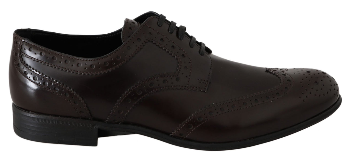 Chaussures Oxford en cuir marron Dolce &amp; Gabbana