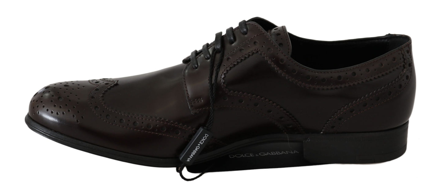 Chaussures Oxford en cuir marron Dolce &amp; Gabbana